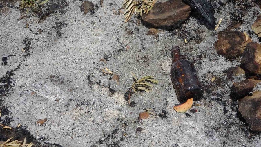 Ahşap Barakada Çıkan Yangında 2 Köpeği İle Birlikte Feci Şekilde Can Verdi