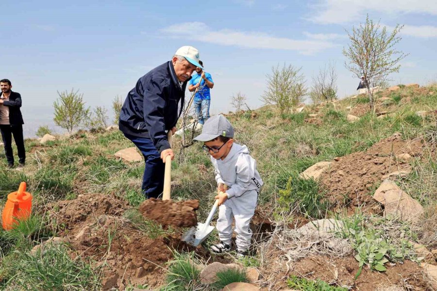 Başkan Yalçın: "bu Ağaçlar Hepimizin Sadakası"