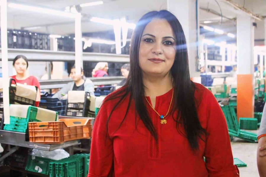 Antalya Hali’nin Yükünü Kadınlar Çekiyor