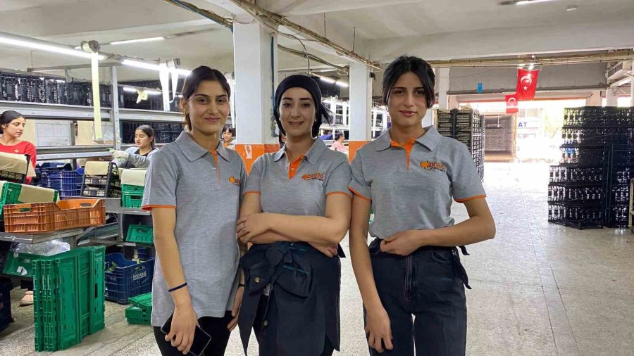 Antalya Hali’nin Yükünü Kadınlar Çekiyor