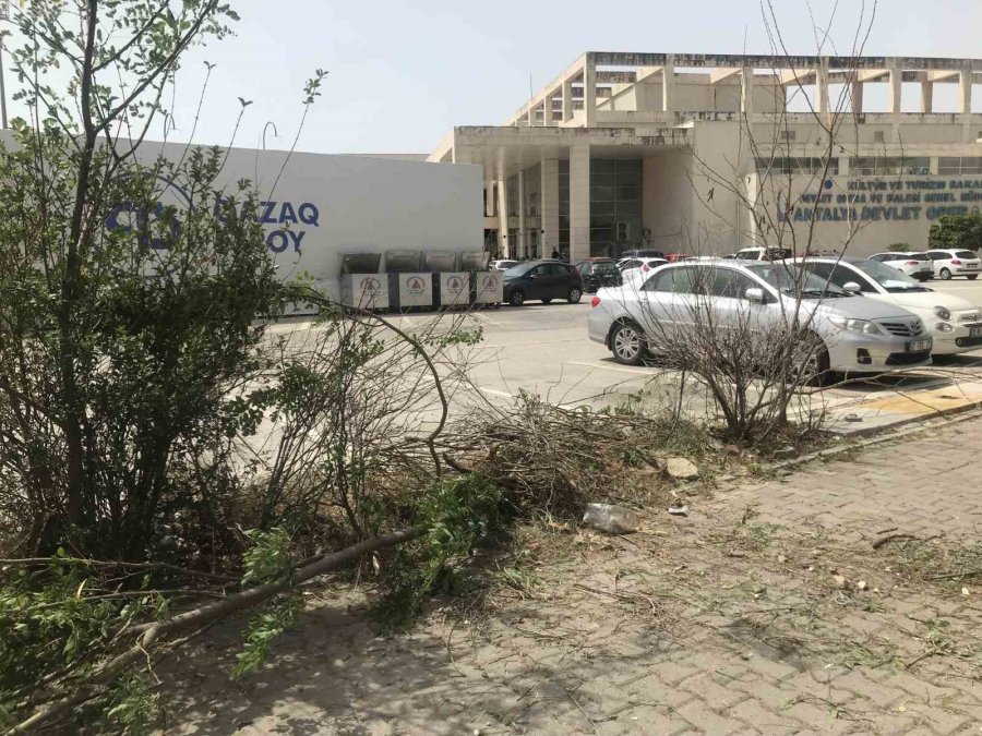 Park Etmek İsterken Kontrolden Çıkan Otomobil, Otomobillere Çarparak Durdu