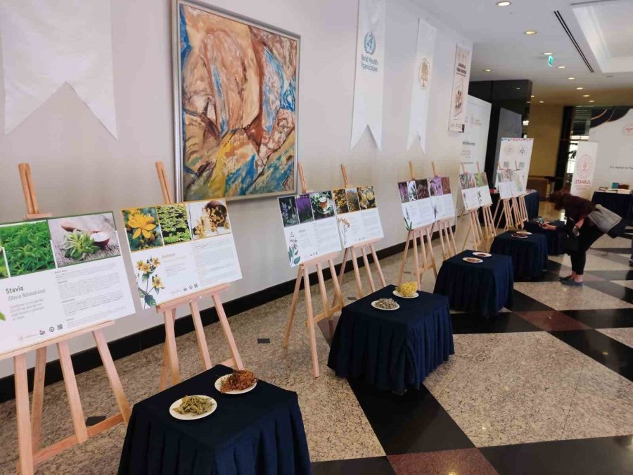 Emine Erdoğan: “anadolu Toprakları Kadim Tıp Kaynakları Açısından Önemli Bir Konumdadır”