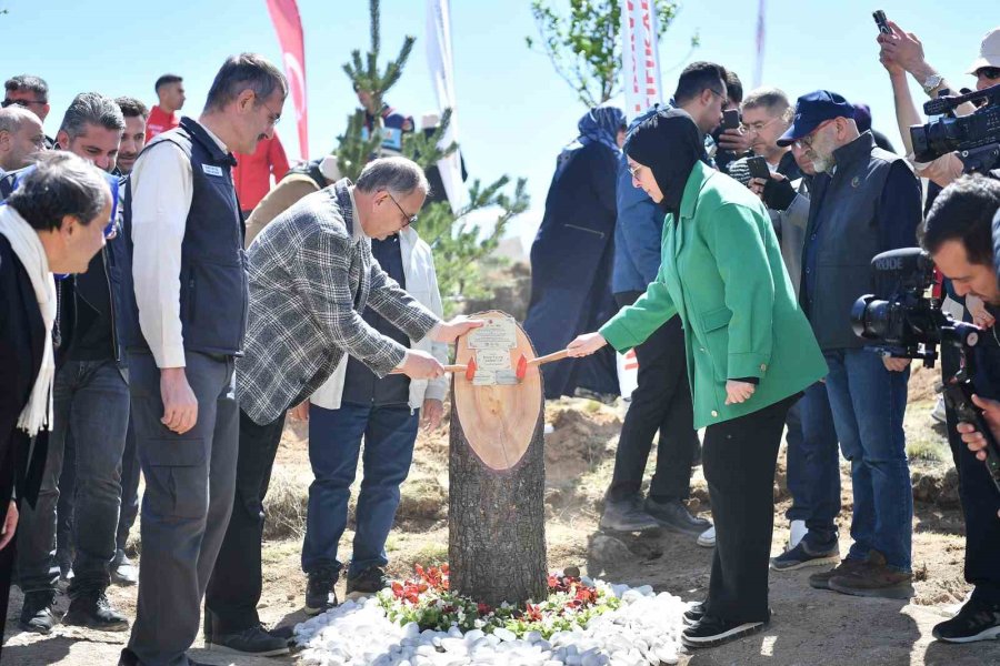 Bakanlık Ve Büyükşehrin Yeşil Projesi İle Hava Kirliliğinin Azaltılması İçin Önemli Bir Adım Atıldı