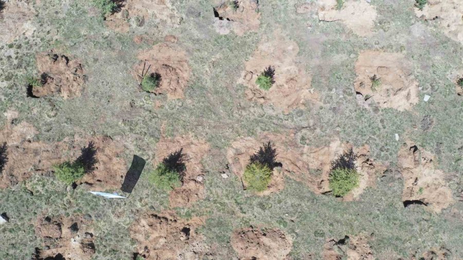 Bakanlık Ve Büyükşehrin Yeşil Projesi İle Hava Kirliliğinin Azaltılması İçin Önemli Bir Adım Atıldı