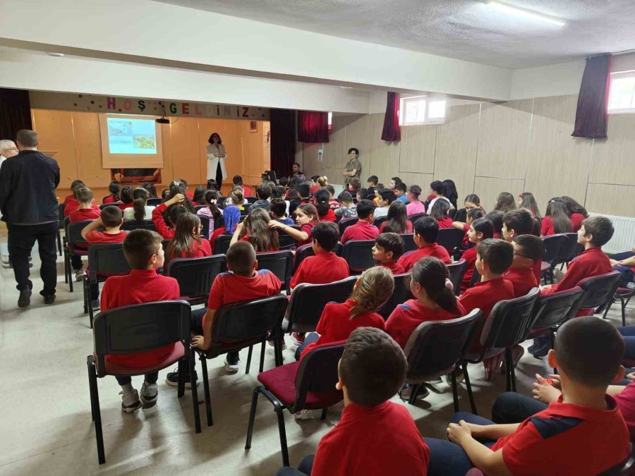 İlkokullu Çocuklara Hayvan Sevgisi Ve Sokak Hayvanlarına Yaklaşım Eğitimi