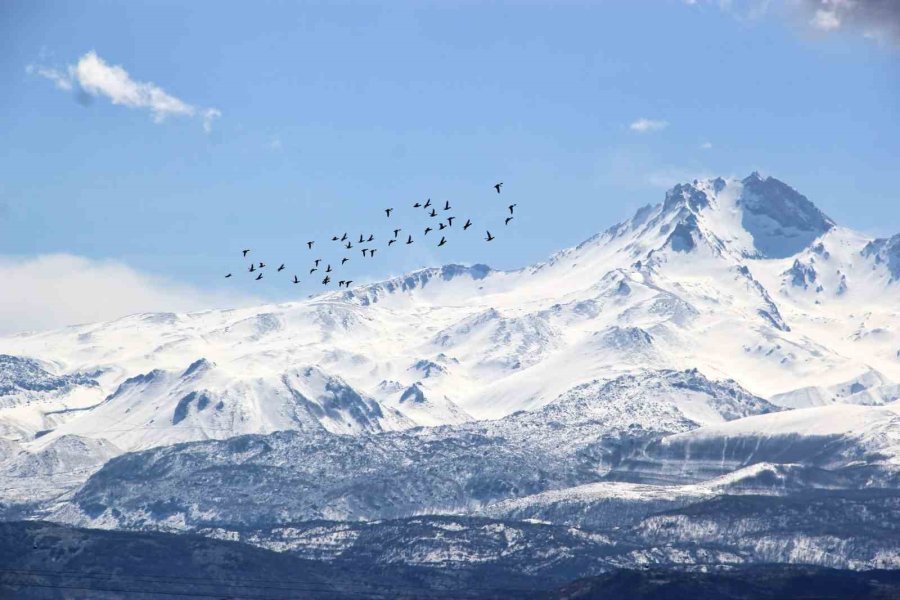 Kayseri’nin Doğal Kuş Cenneti Baharı Müjdeliyor