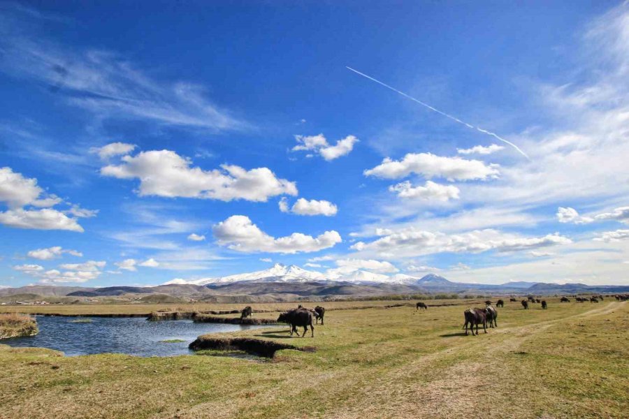 Kayseri’nin Doğal Kuş Cenneti Baharı Müjdeliyor