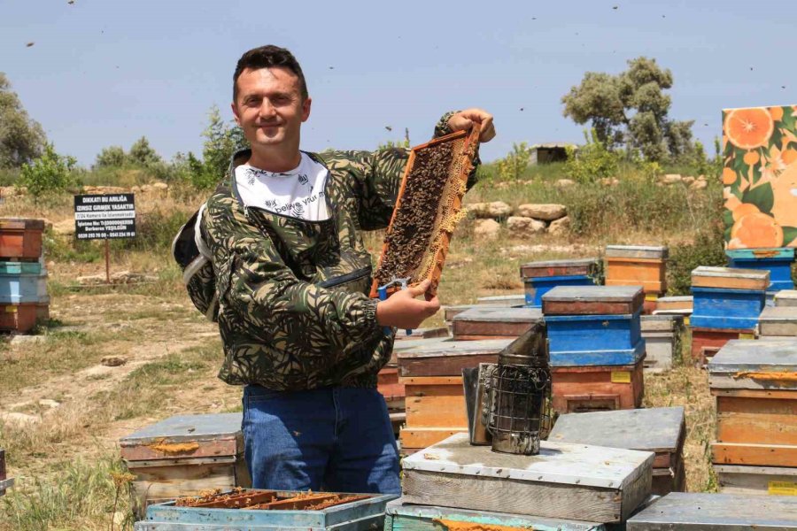 Finans Uzmanıydı, Arıcı Oldu