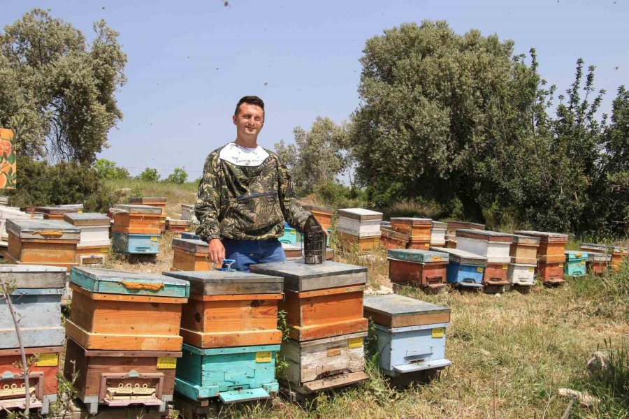 Finans Uzmanıydı, Arıcı Oldu