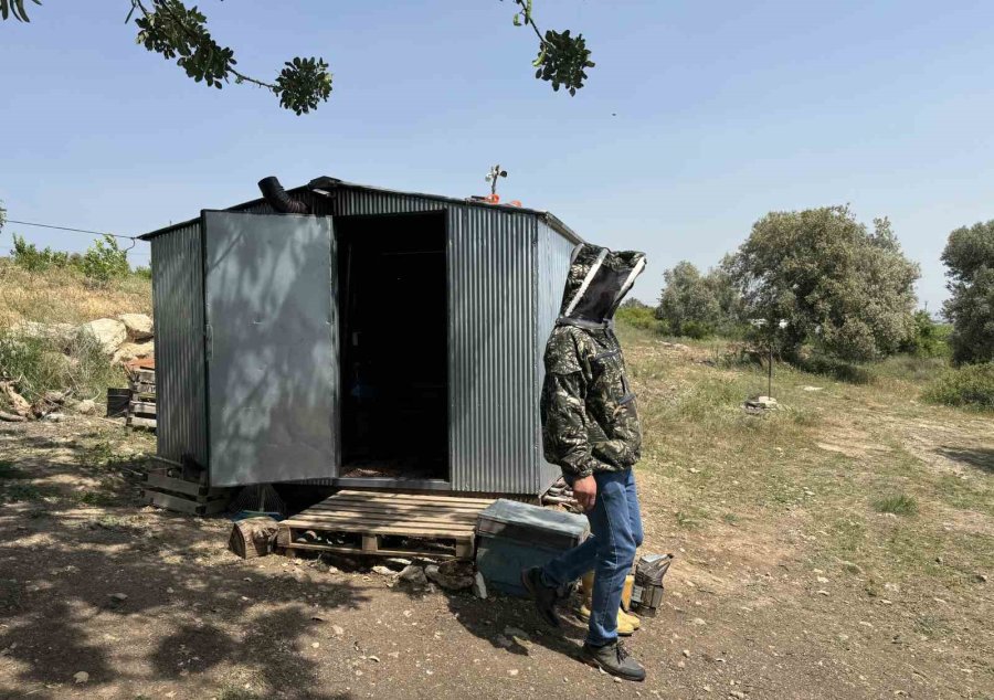 Finans Uzmanıydı, Arıcı Oldu