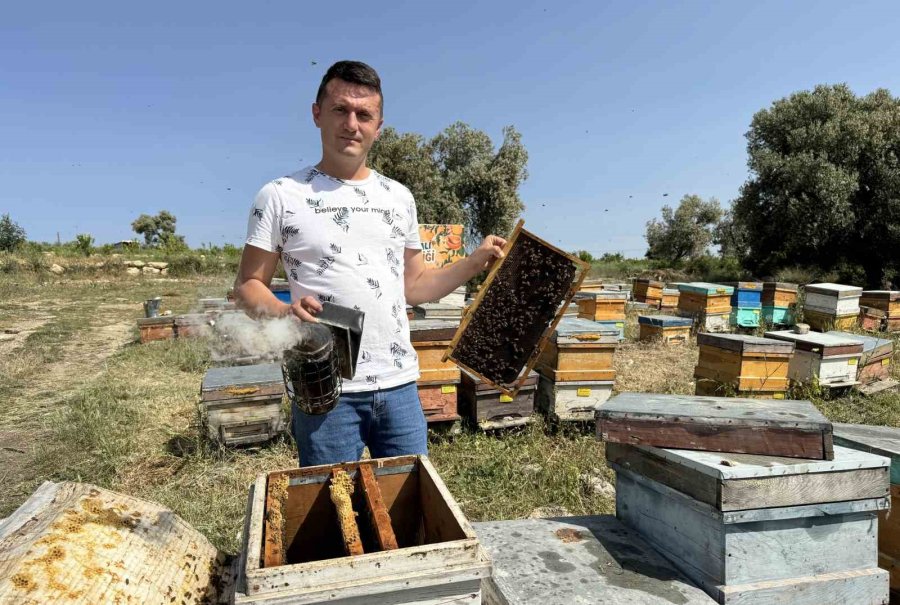 Finans Uzmanıydı, Arıcı Oldu