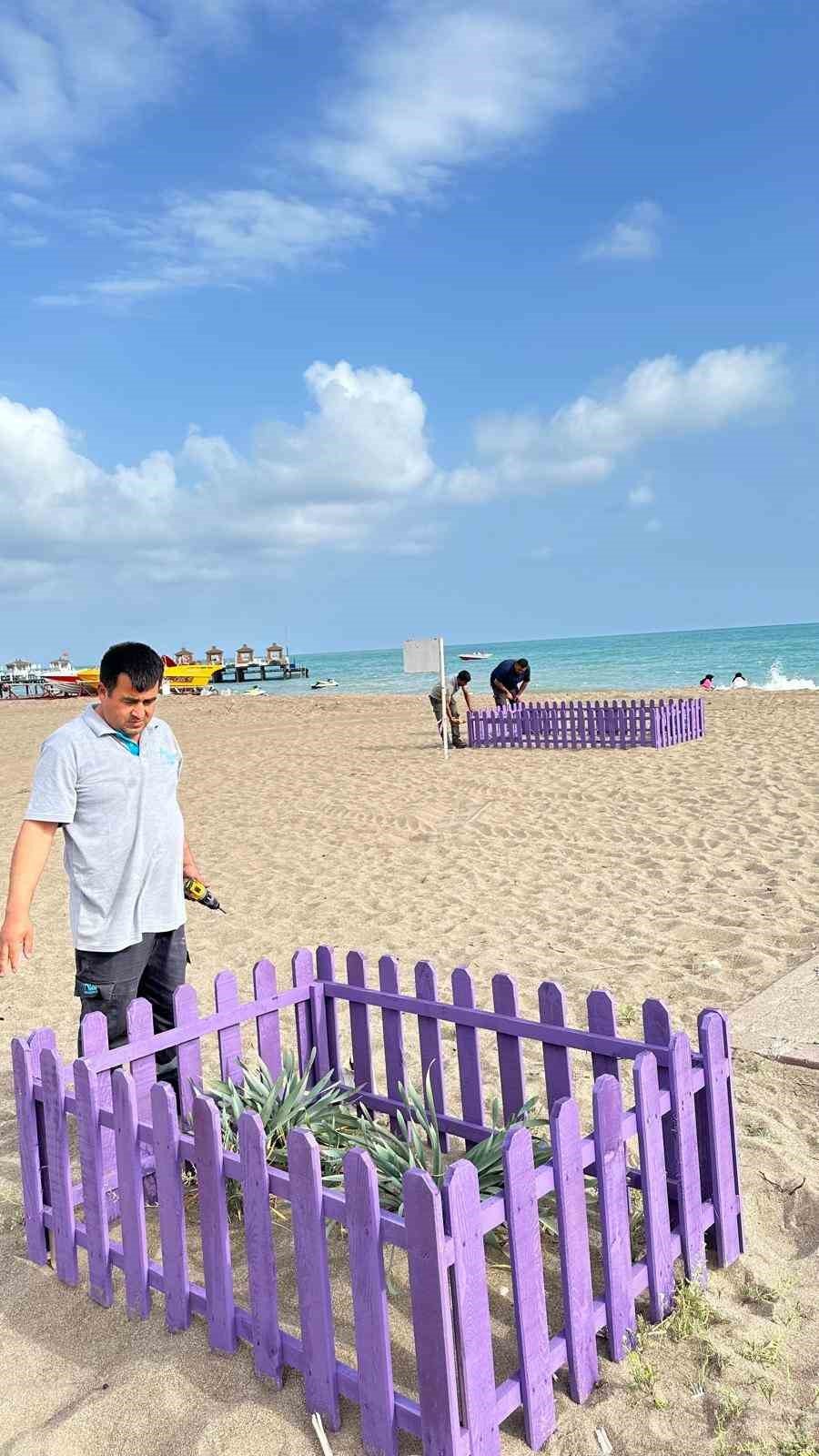 Antalya’da Kum Zambaklarına Çitli Koruma