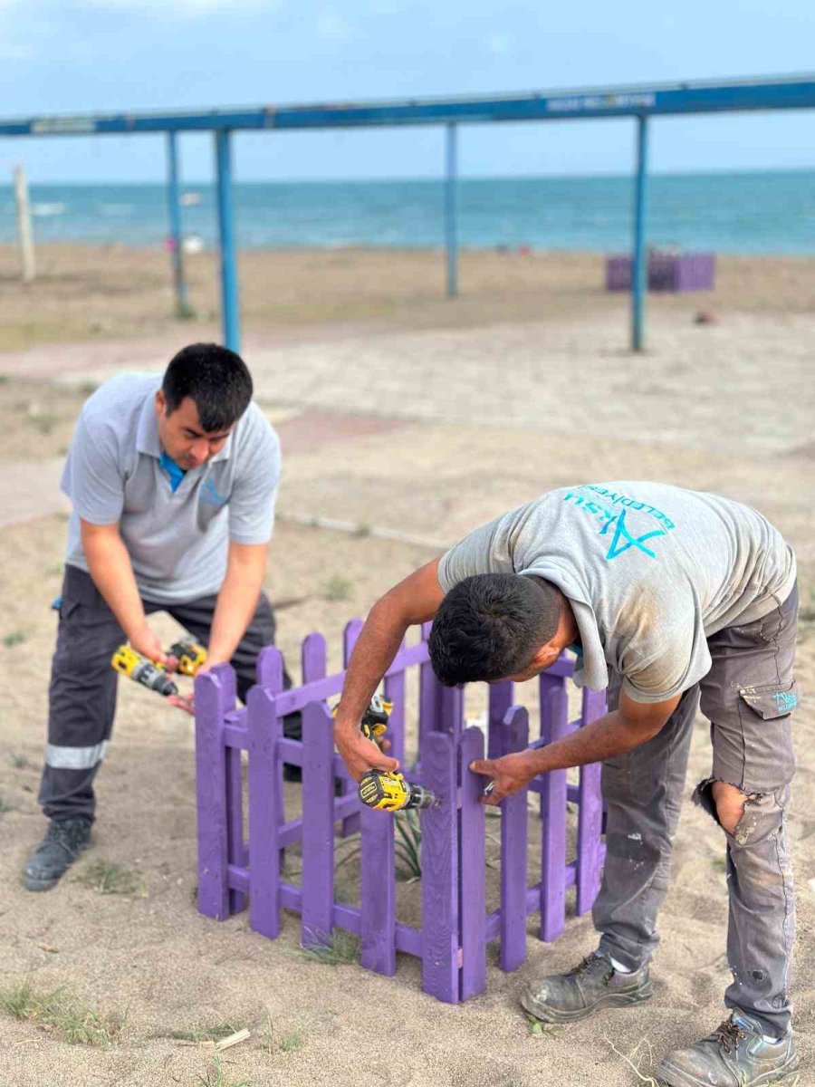 Antalya’da Kum Zambaklarına Çitli Koruma
