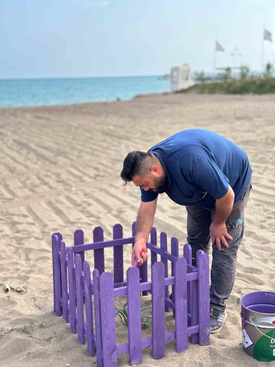 Antalya’da Kum Zambaklarına Çitli Koruma