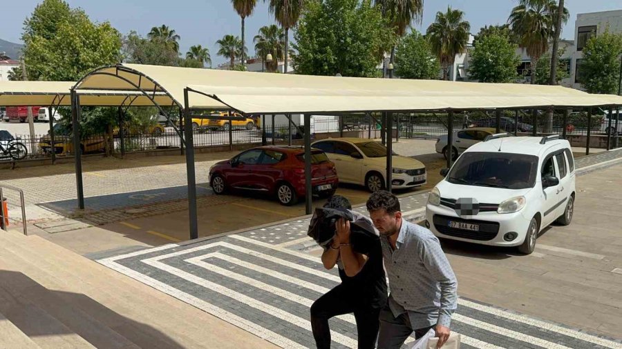 Şehit Ailesine Ait Piyasa Değeri 90 Bin Tl Olan 300 Litre Zeytinyağı Çaldılar, Yakalandılar