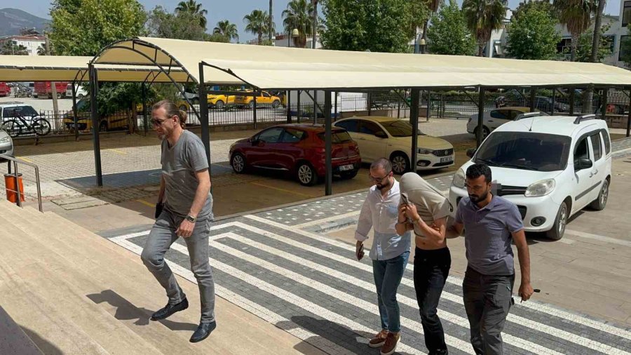 Şehit Ailesine Ait Piyasa Değeri 90 Bin Tl Olan 300 Litre Zeytinyağı Çaldılar, Yakalandılar