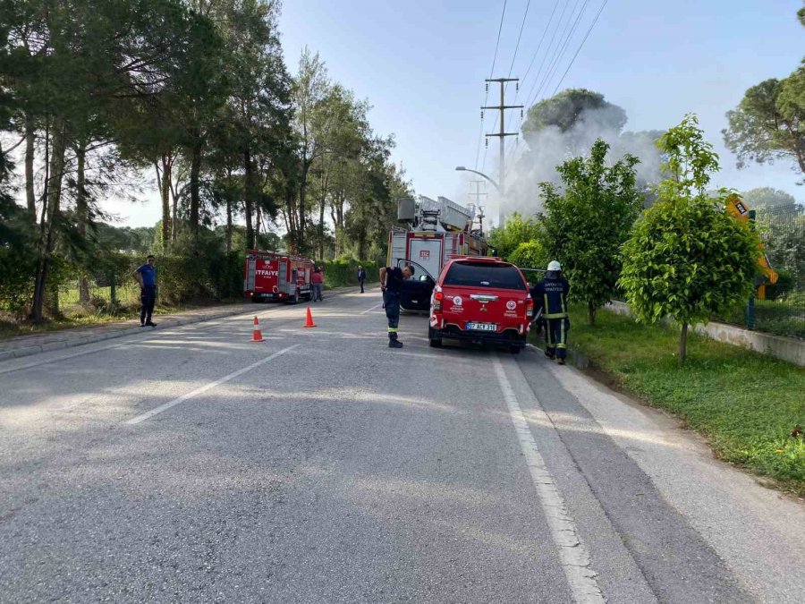 Atık Toplama Kamyoneti Alev Aldı