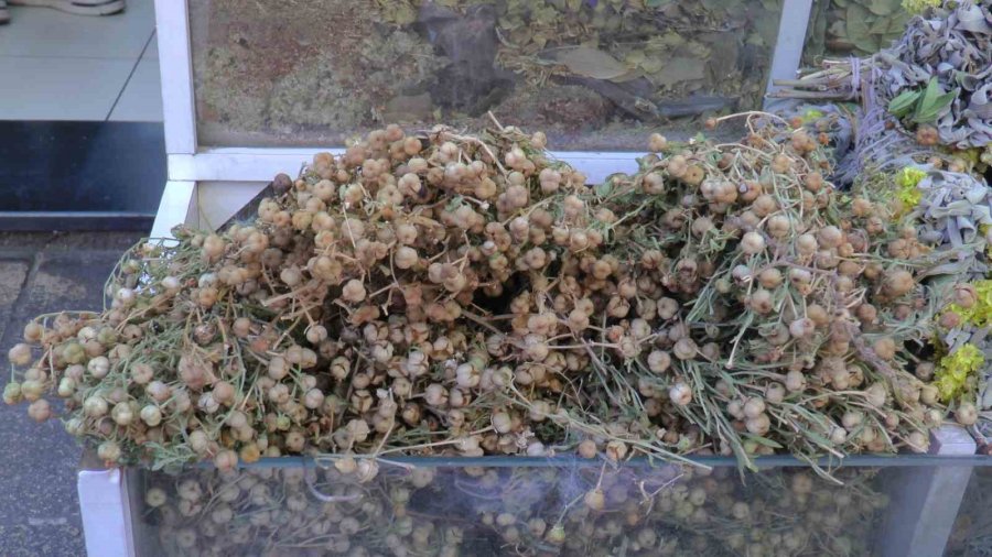 Bahar Rahatsızlıklarına Bitkisel Çözümler