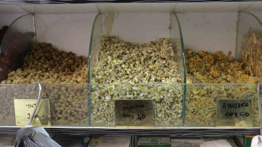 Bahar Rahatsızlıklarına Bitkisel Çözümler