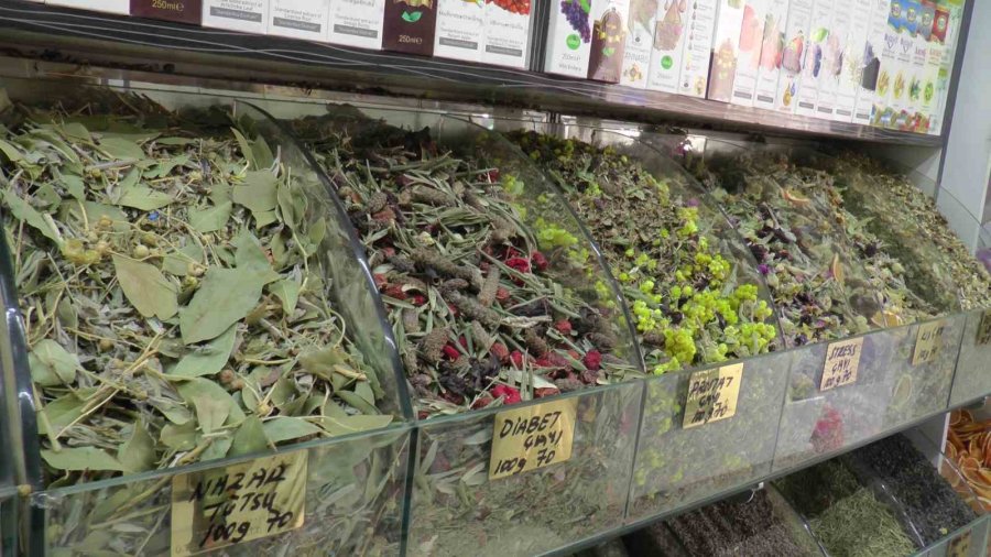 Bahar Rahatsızlıklarına Bitkisel Çözümler