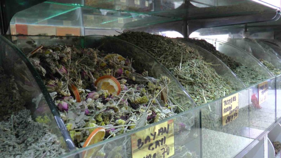 Bahar Rahatsızlıklarına Bitkisel Çözümler