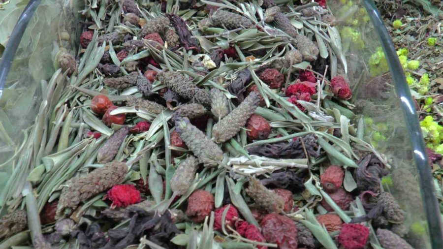 Bahar Rahatsızlıklarına Bitkisel Çözümler