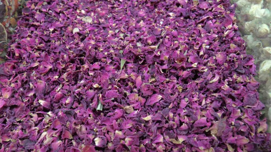 Bahar Rahatsızlıklarına Bitkisel Çözümler