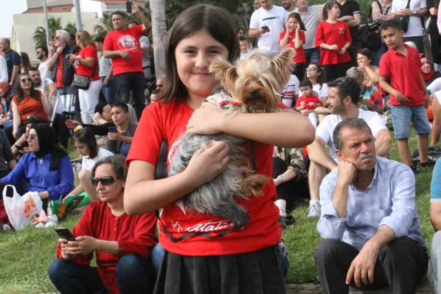 Türk Yıldızları’nın Nefes Kesen Gösterisi On Binlerce Vatandaşı Sahillere Doldurdu