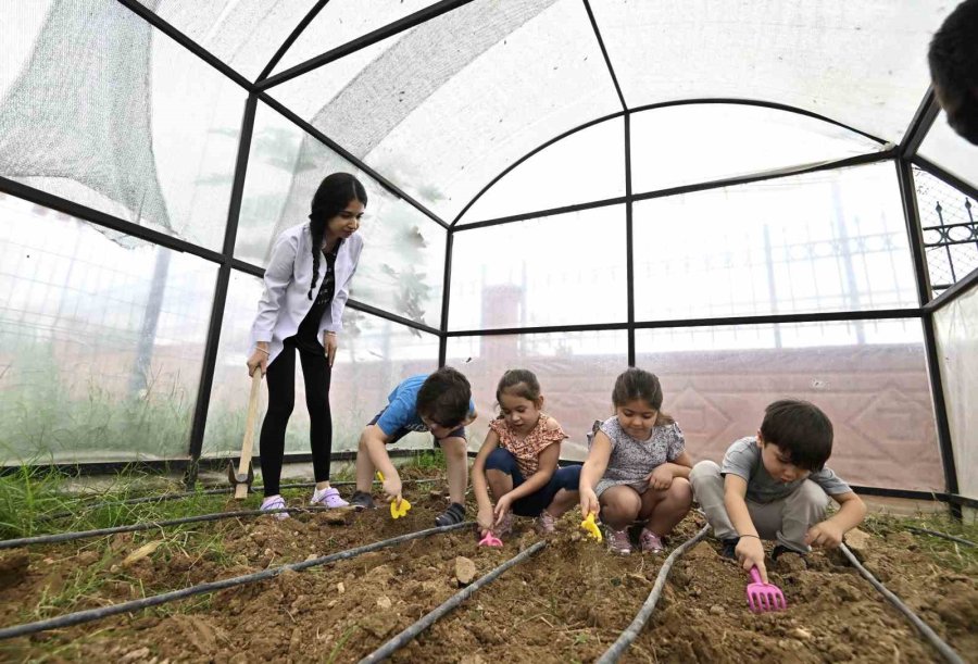 Ekolojik Yaşama Can Suyu