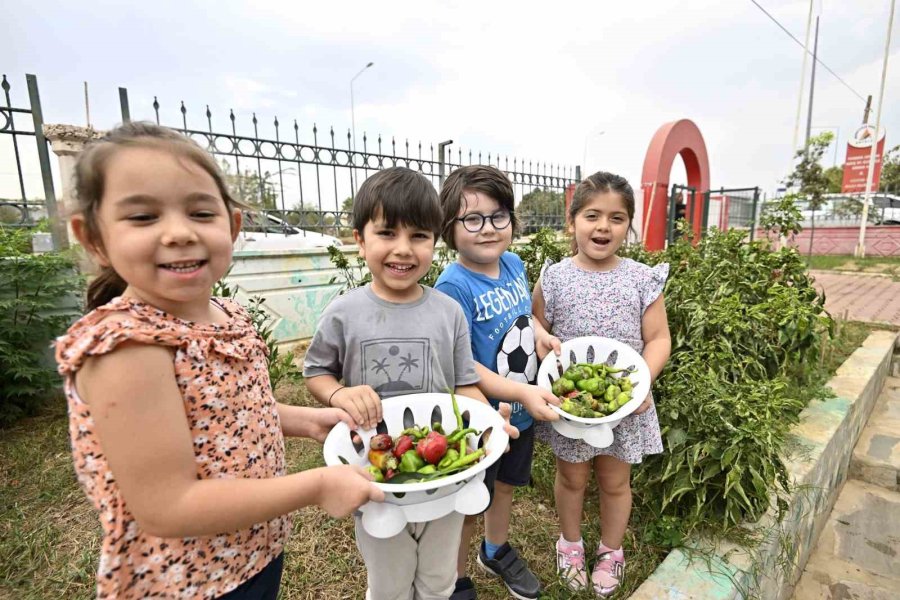 Ekolojik Yaşama Can Suyu