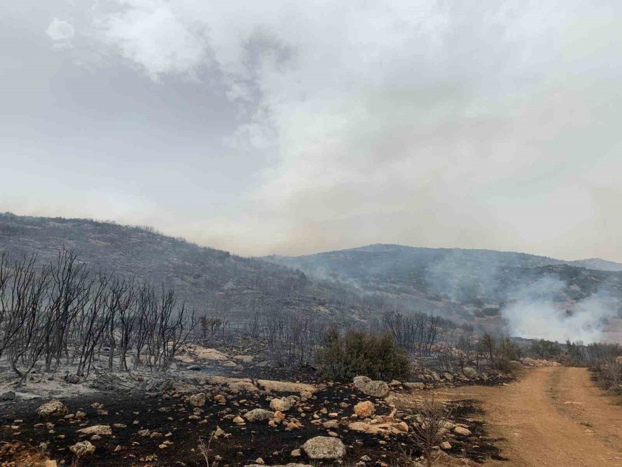 Korkuteli’nde Çıkan Yangında 60 Dönümlük Çalılık Alan Yandı