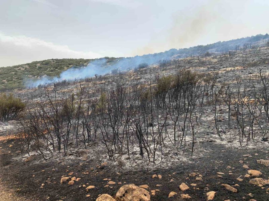 Korkuteli’nde Çıkan Yangında 60 Dönümlük Çalılık Alan Yandı