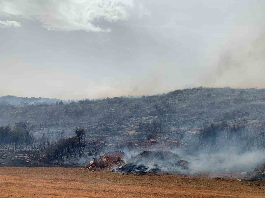 Korkuteli’nde Çıkan Yangında 60 Dönümlük Çalılık Alan Yandı
