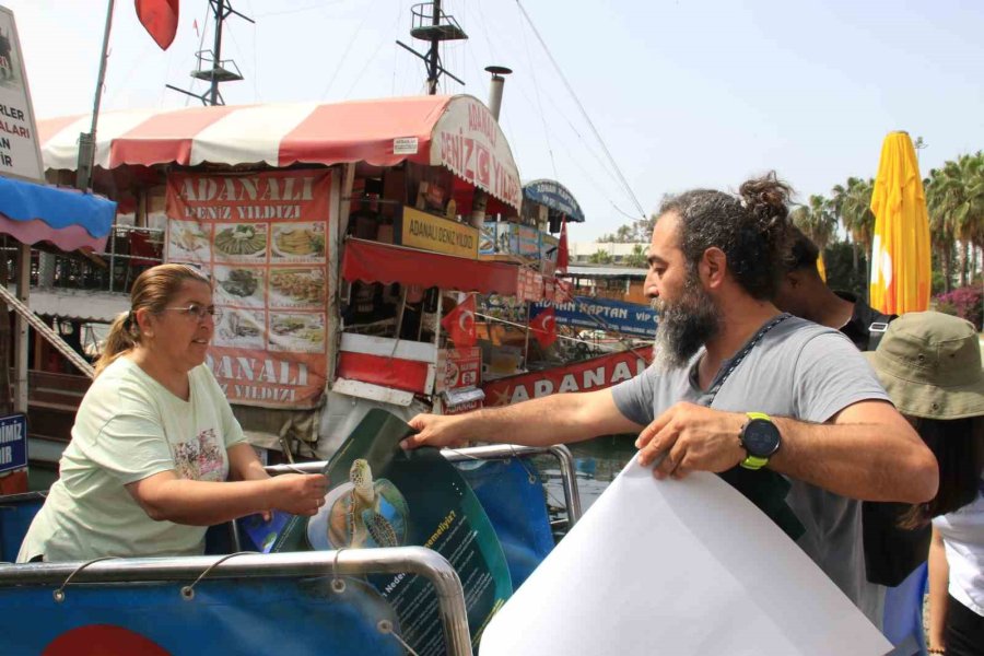 Vatandaşlar Tarafından Beslenen Deniz Kaplumbağaları Balıkçı Barınağını Mesken Edindi