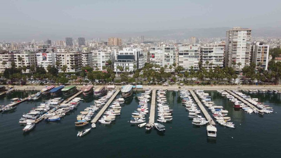 Vatandaşlar Tarafından Beslenen Deniz Kaplumbağaları Balıkçı Barınağını Mesken Edindi