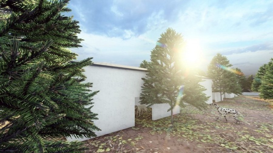 Başkan Palancıoğlu’ndan Yeni Proje: ‘sokak Hayvanları Köyü’