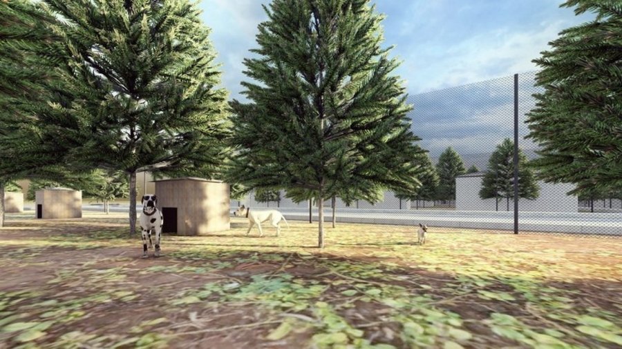 Başkan Palancıoğlu’ndan Yeni Proje: ‘sokak Hayvanları Köyü’