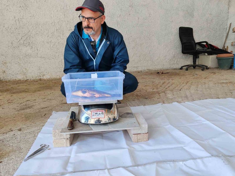 Bu Proje İle İstilacı Balık Türlerinin Popülasyonu Azaltılacak