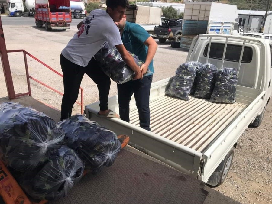 Elde Kalan Sebzeler Bağışlanarak, Çöpe Atılmaktan Kurtarılıyor