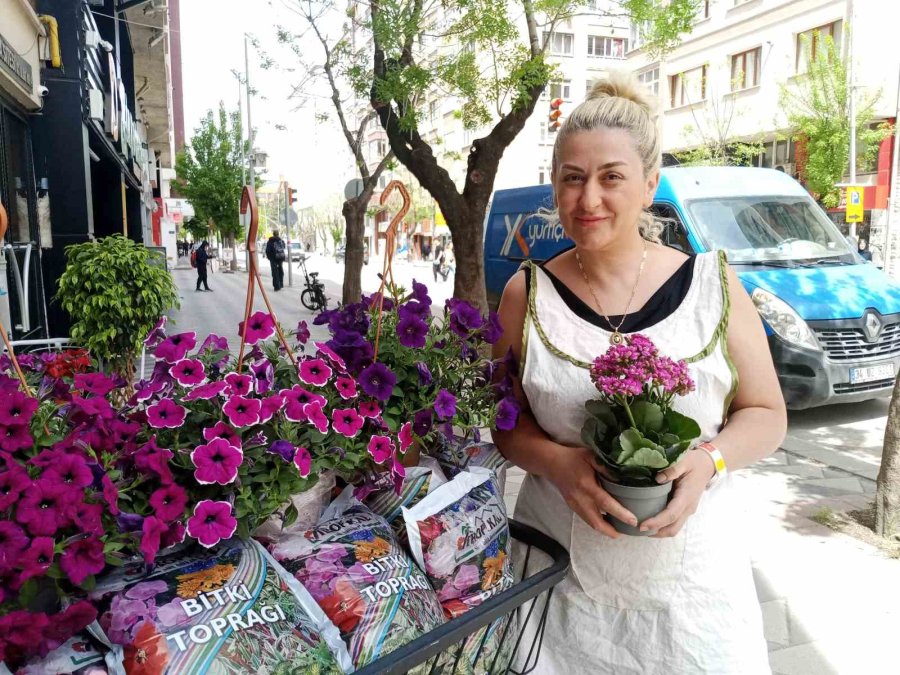 Havaların Isınmasıyla Birlikte Yazlık Çiçek Satışları Başladı