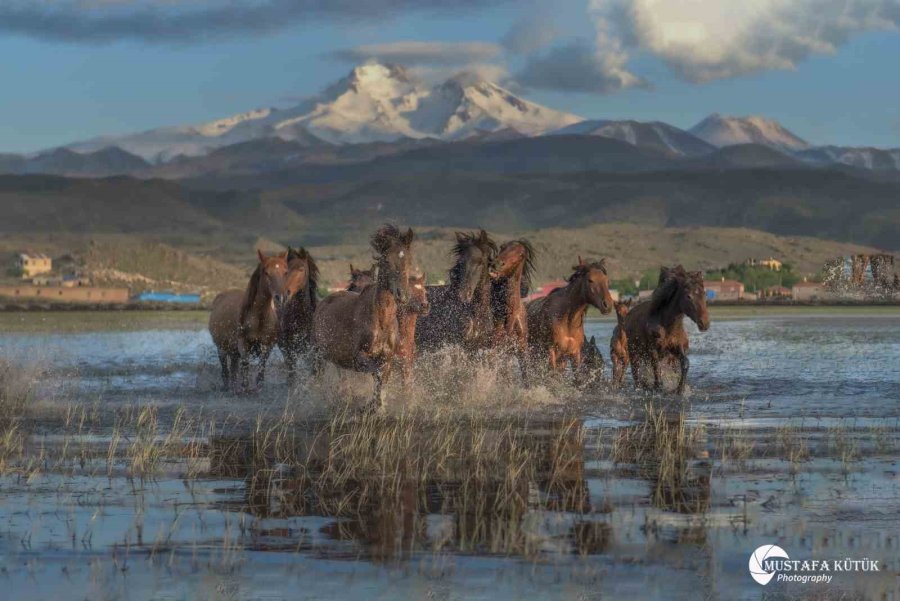 Hürmetçi Sazlığı, Türkiye’nin Gözde Turizm Mekanı Olacak