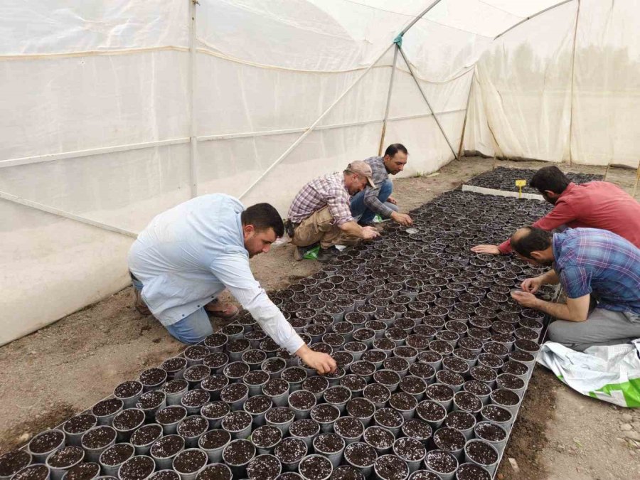 Niğde Patates Araştırma Enstitüsünde Gpt Ekimine Başlandı