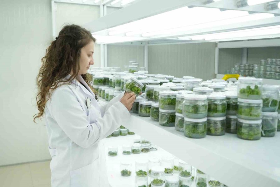 Teknopark, Niğde’nin Teknoloji Yolculuğuna Yeni Bir Boyut Kazandırıyor