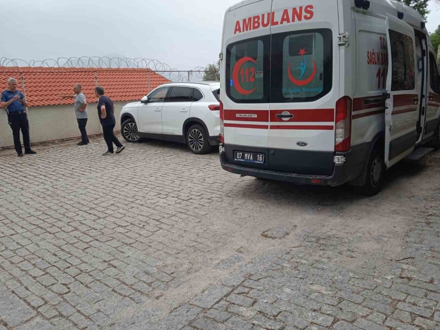 Kekik Toplarken Yüksekten Düşen Adam Yaralandı