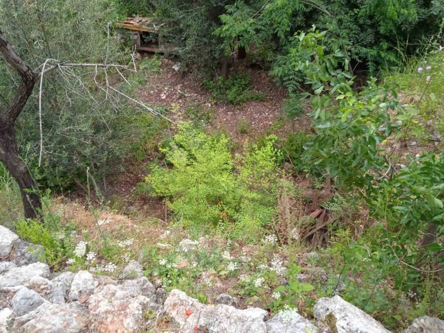 Kekik Toplarken Yüksekten Düşen Adam Yaralandı