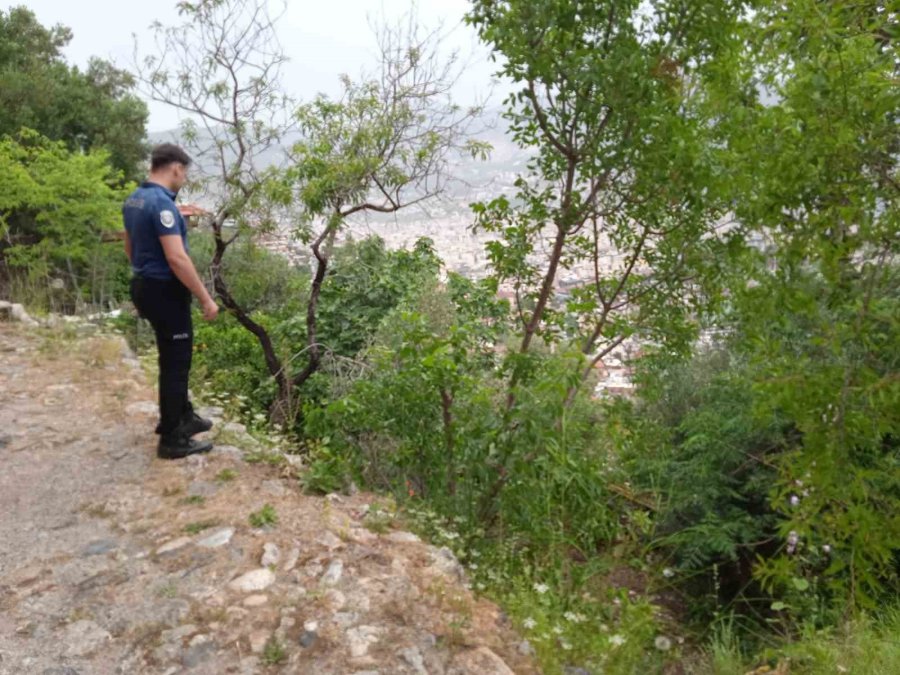 Kekik Toplarken Yüksekten Düşen Adam Yaralandı