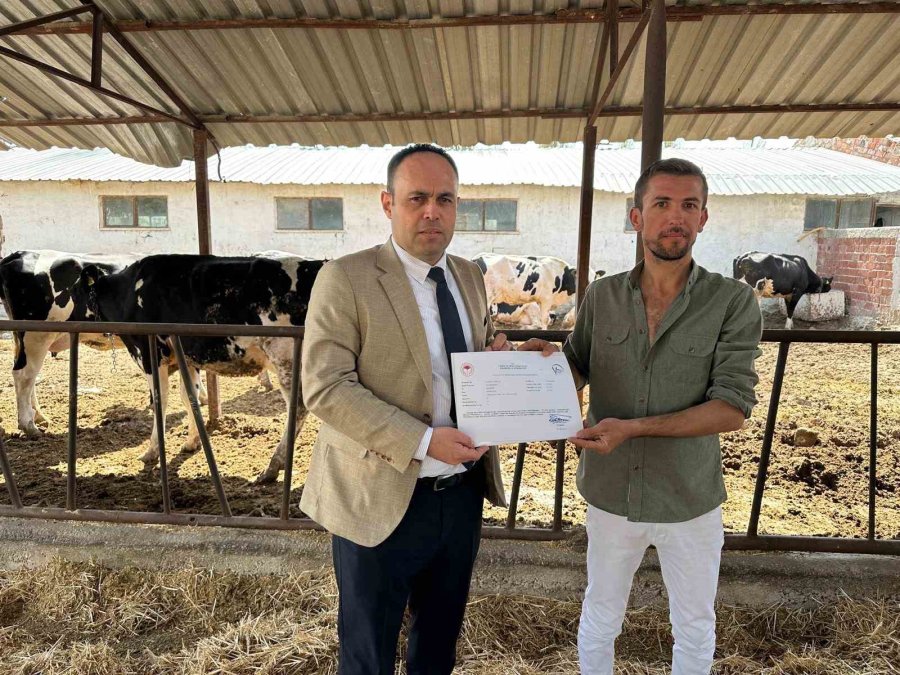 Eskişehir’de Hastalıktan Ari İşletme Sayısı Genç Yetiştiriciler İle Çoğalıyor