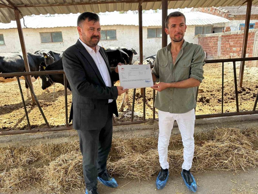 Eskişehir’de Hastalıktan Ari İşletme Sayısı Genç Yetiştiriciler İle Çoğalıyor