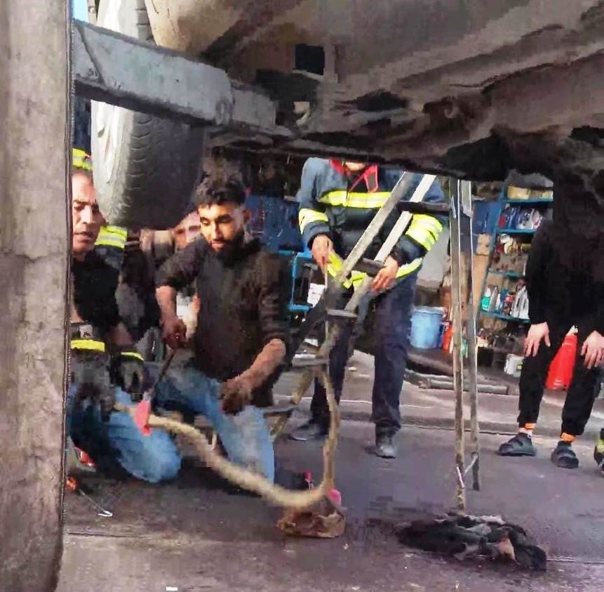 Aracın Motoruna Giren Yılanı İtfaiye Çıkardı