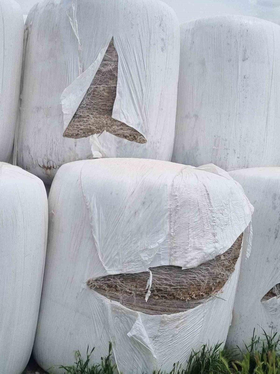 Niğde’de Silaj Paketleri Kimliği Belirsiz Kişi Veya Kişilerce Kesildi